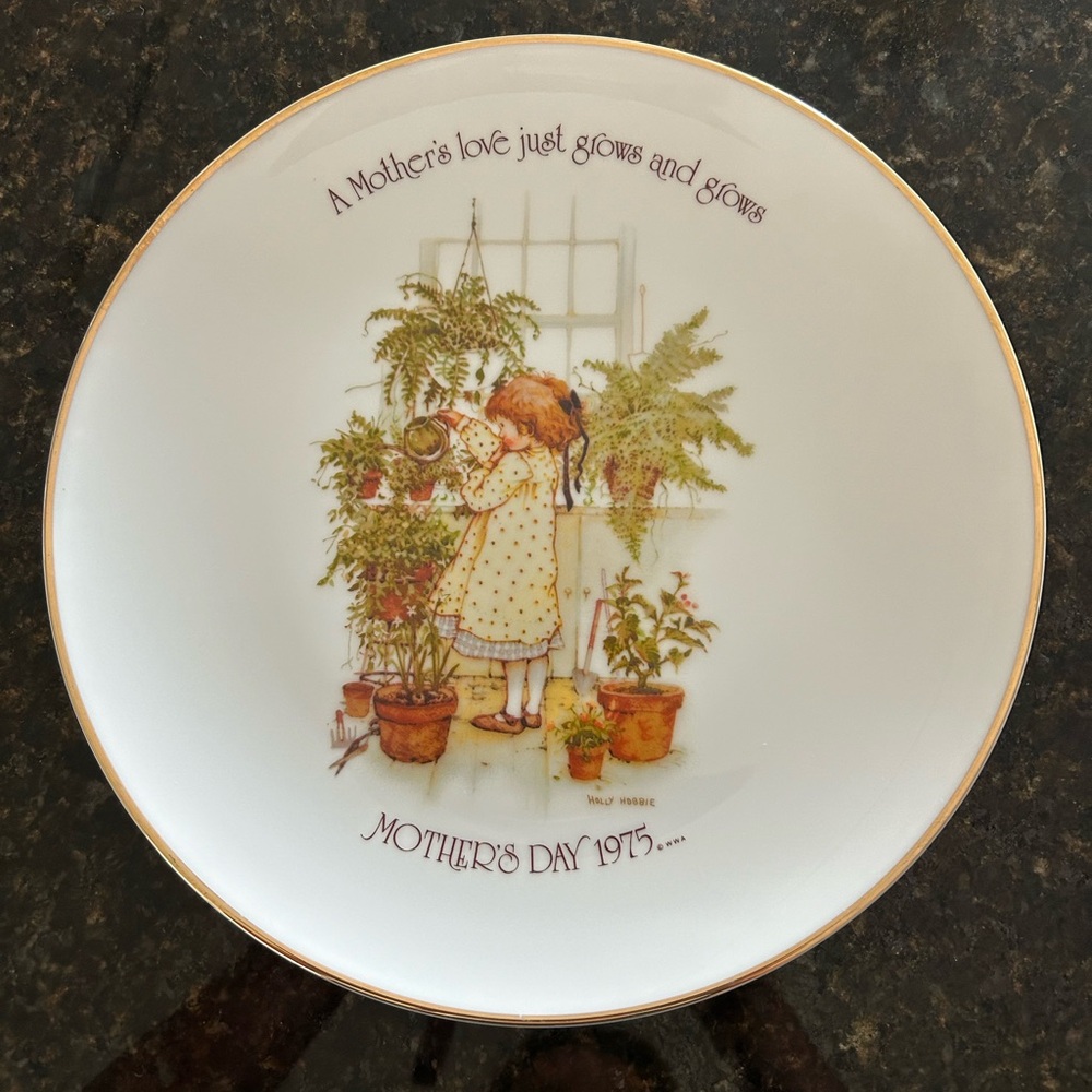 Collector Plates